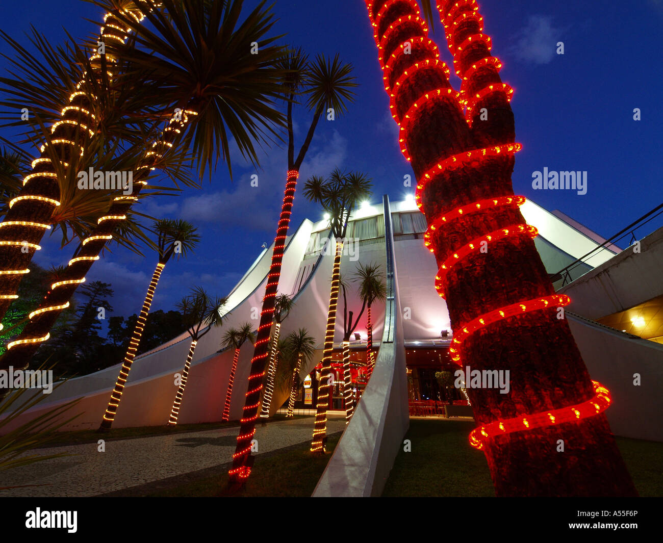 Fairy lights palm tree hires stock photography and images Alamy