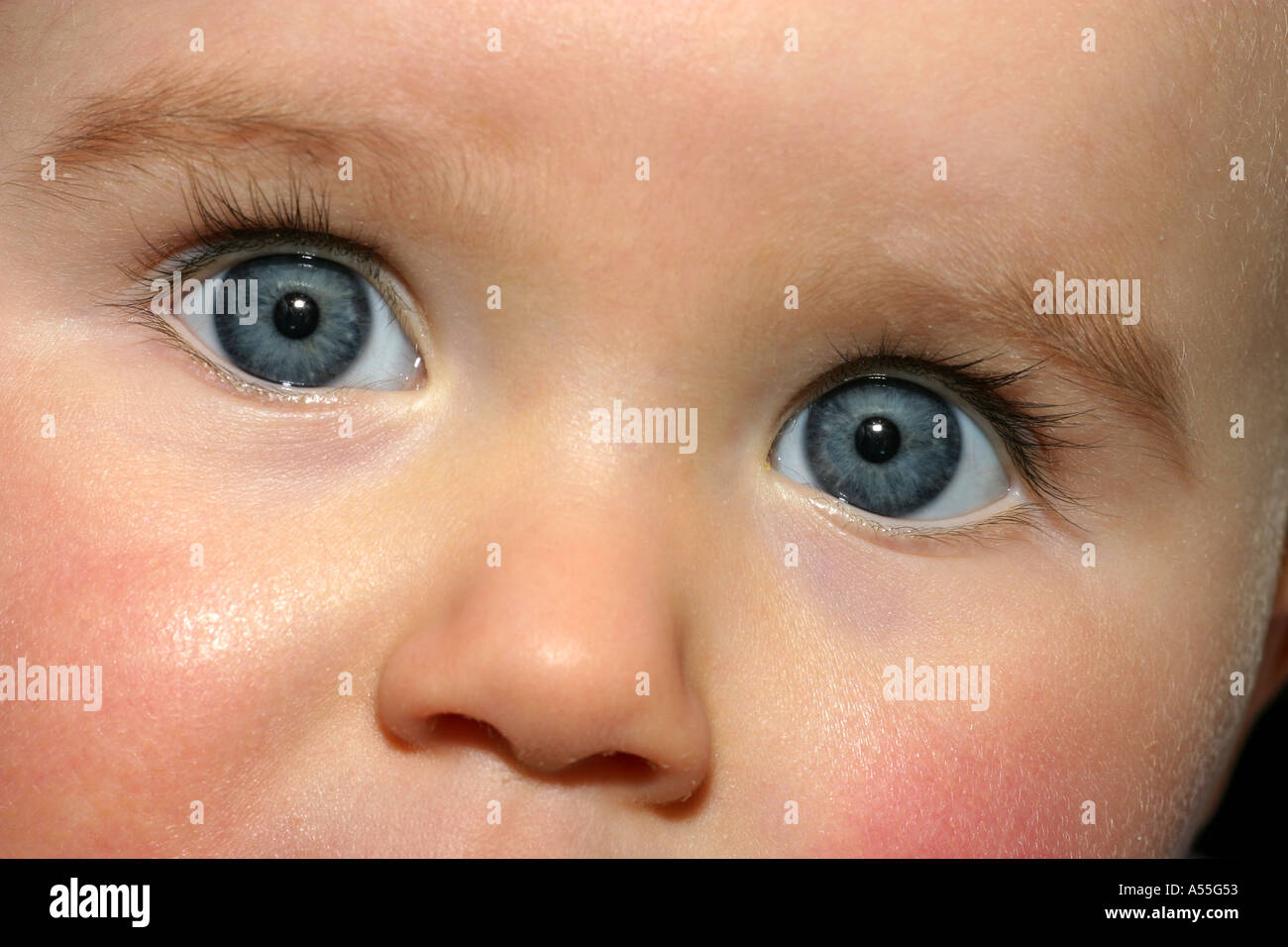 Close Up Of A Baby S Blue Eyes Stock Photo Alamy