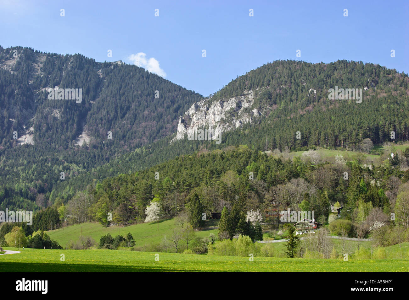Springtime in Prein at mountain Rax Lower Austria Austria Stock Photo