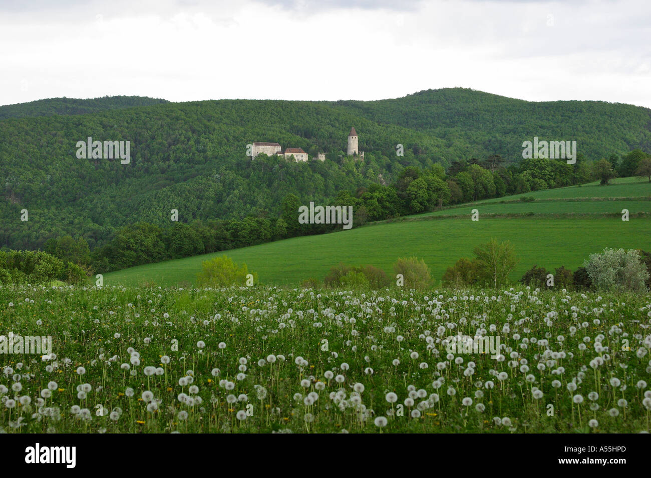 Castle of Seebenstein Lower Austria Austria Stock Photo