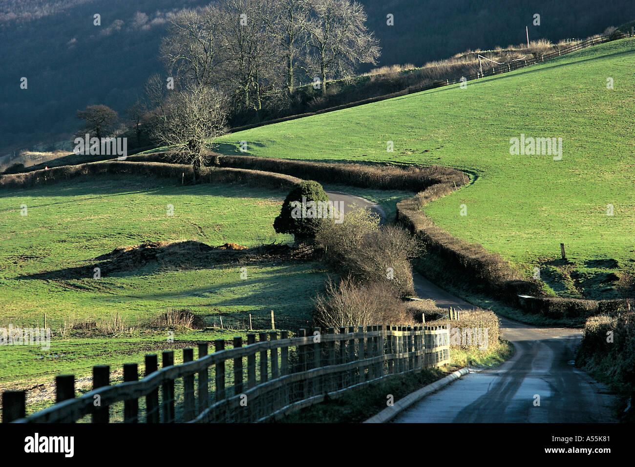 Winding lane near Caerleon Gwent Stock Photo