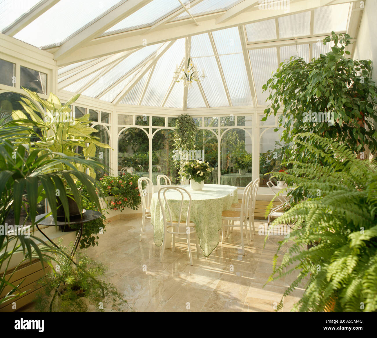 House plants conservatory hi-res stock photography and images - Alamy