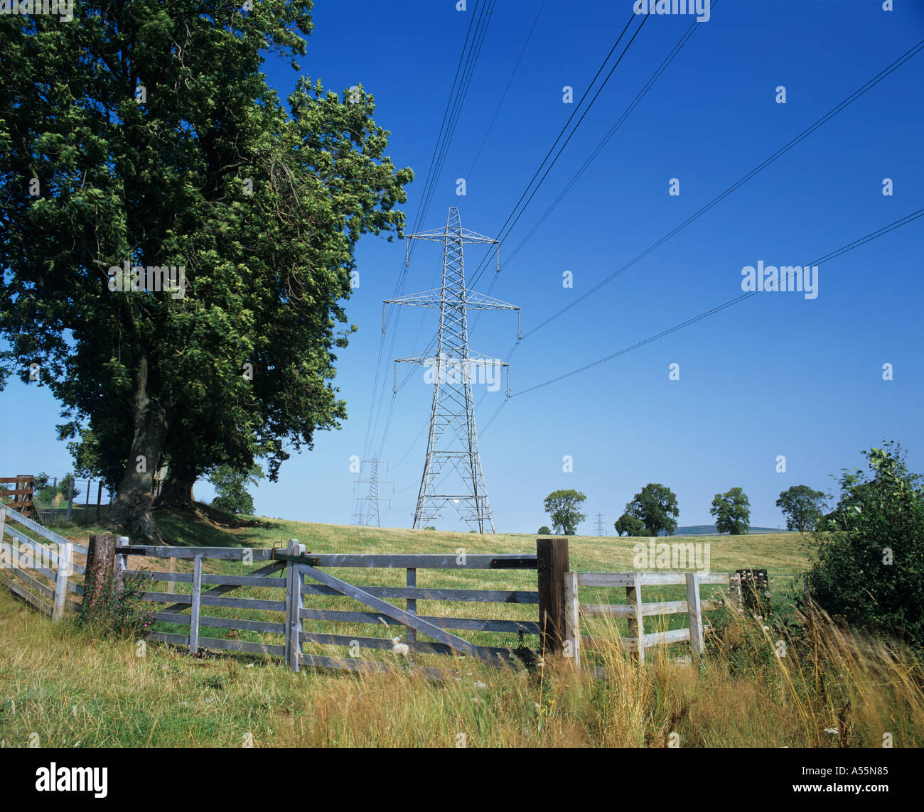 Ugly transmission lines hires stock photography and images Alamy