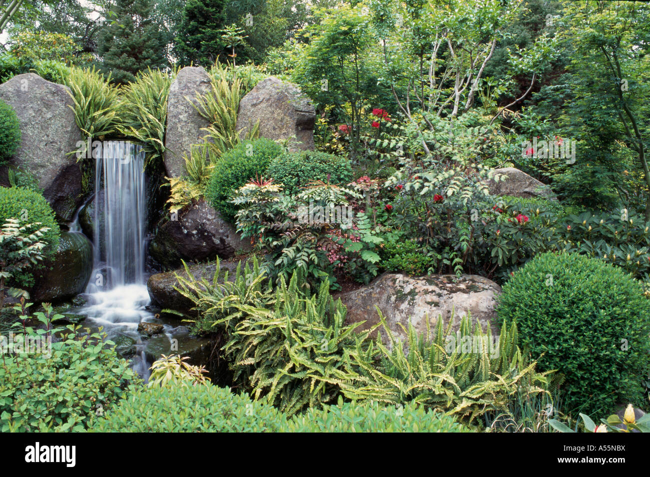 Waterfall pool lined with Hart s tongue fern and surrounded by evergreen trees and clipped shrubs Stock Photo