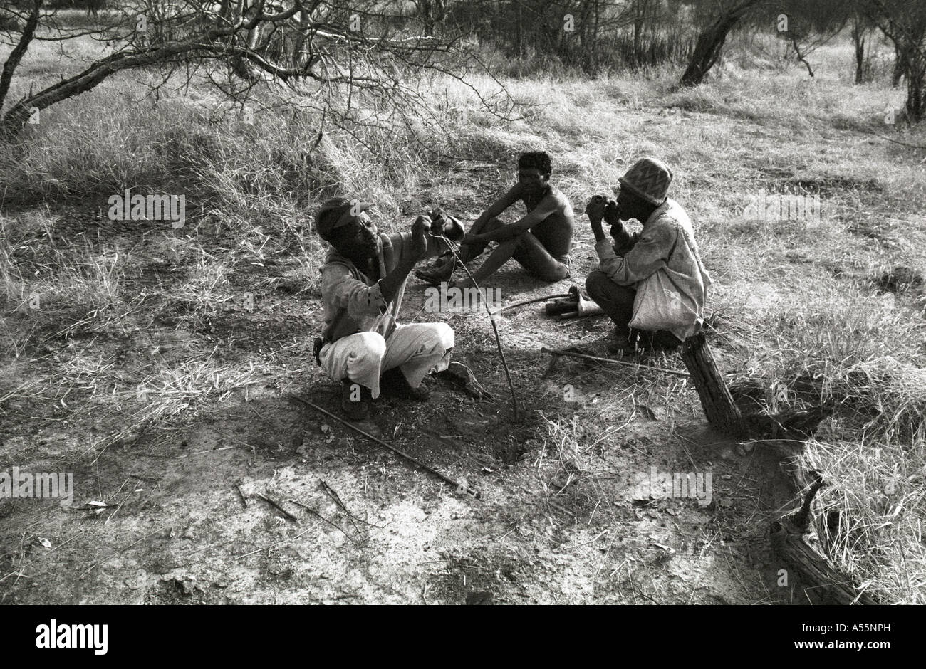 Arrow poison africa hi-res stock photography and images - Alamy