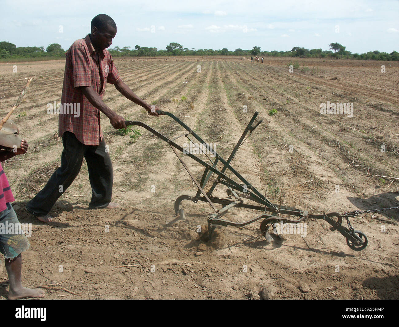 Painet is1672 zambia man mugoye ripper alternative plough plow less destructive impact soil lusaka country developing nation Stock Photo