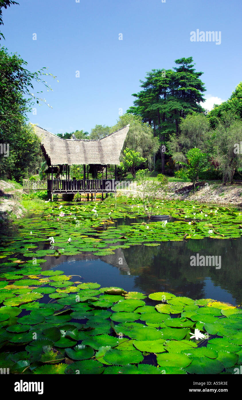 A Lily Pond And Malay Hut In Orchid Valley Southern Malaysia Stock Photo Alamy