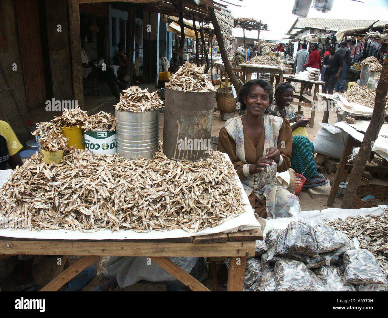 is1710 zambia woman selling dried fish chongwe country developing nation less