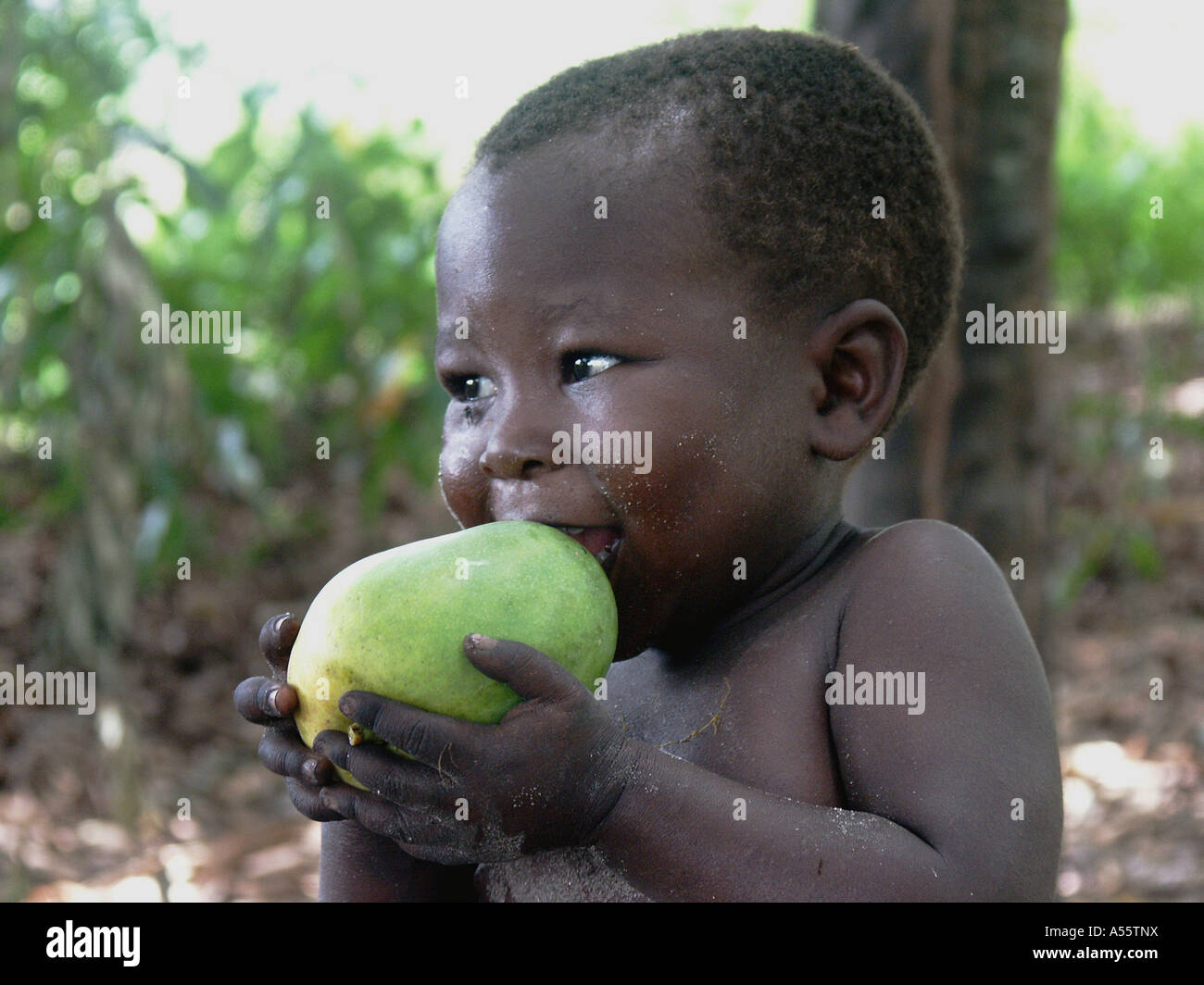 Baby eating mango hires stock photography and images Alamy