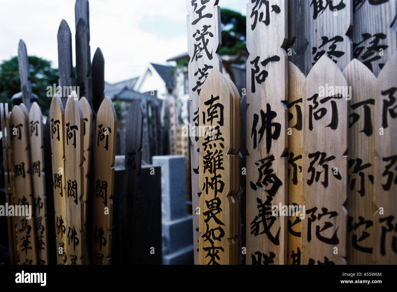 Graveyard planks with buddhist inscriptions on a cemetery in Yanaka ...