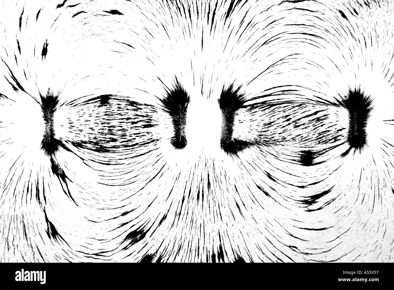 Iron filings and hires stock photography and images Alamy