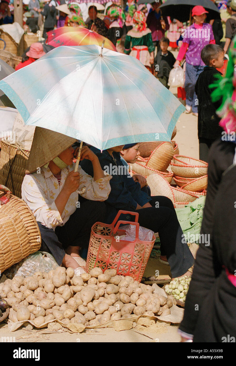Potatoes for sale at the market in BacHa Northern Vietnam Stock Photo
