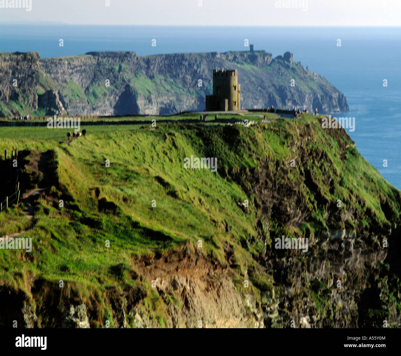 26 декабря день святого стефана. Рождество в дублине. Ирландия декабрь. Irlandiya city center. Ирландия декабрь.