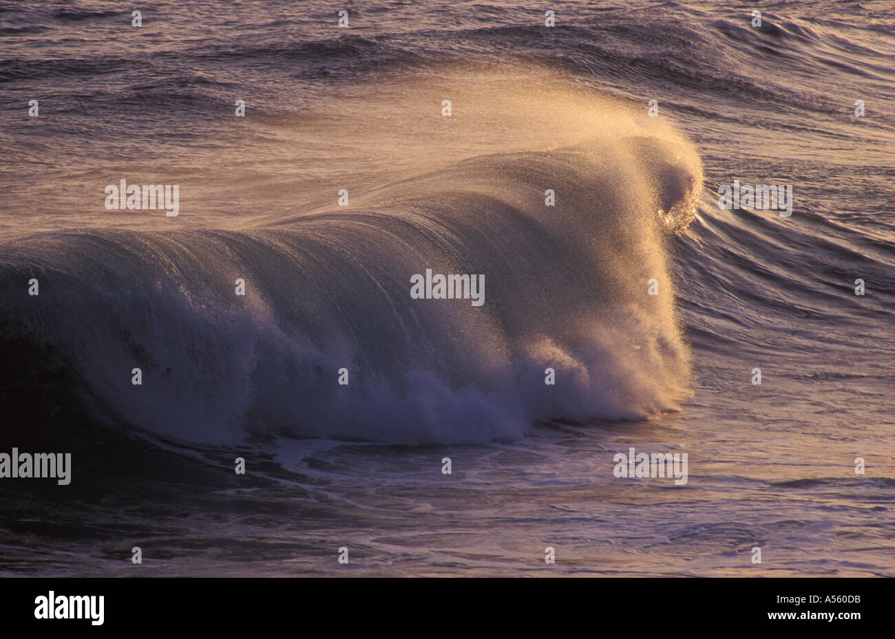 Waves on Beach Stock Photo