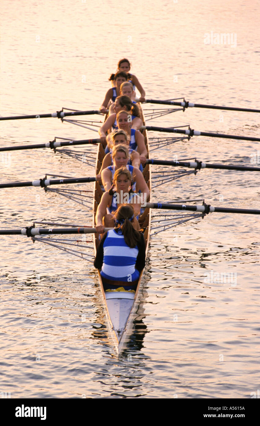 teamwork cooperation stockholms rowing club women team model released ...