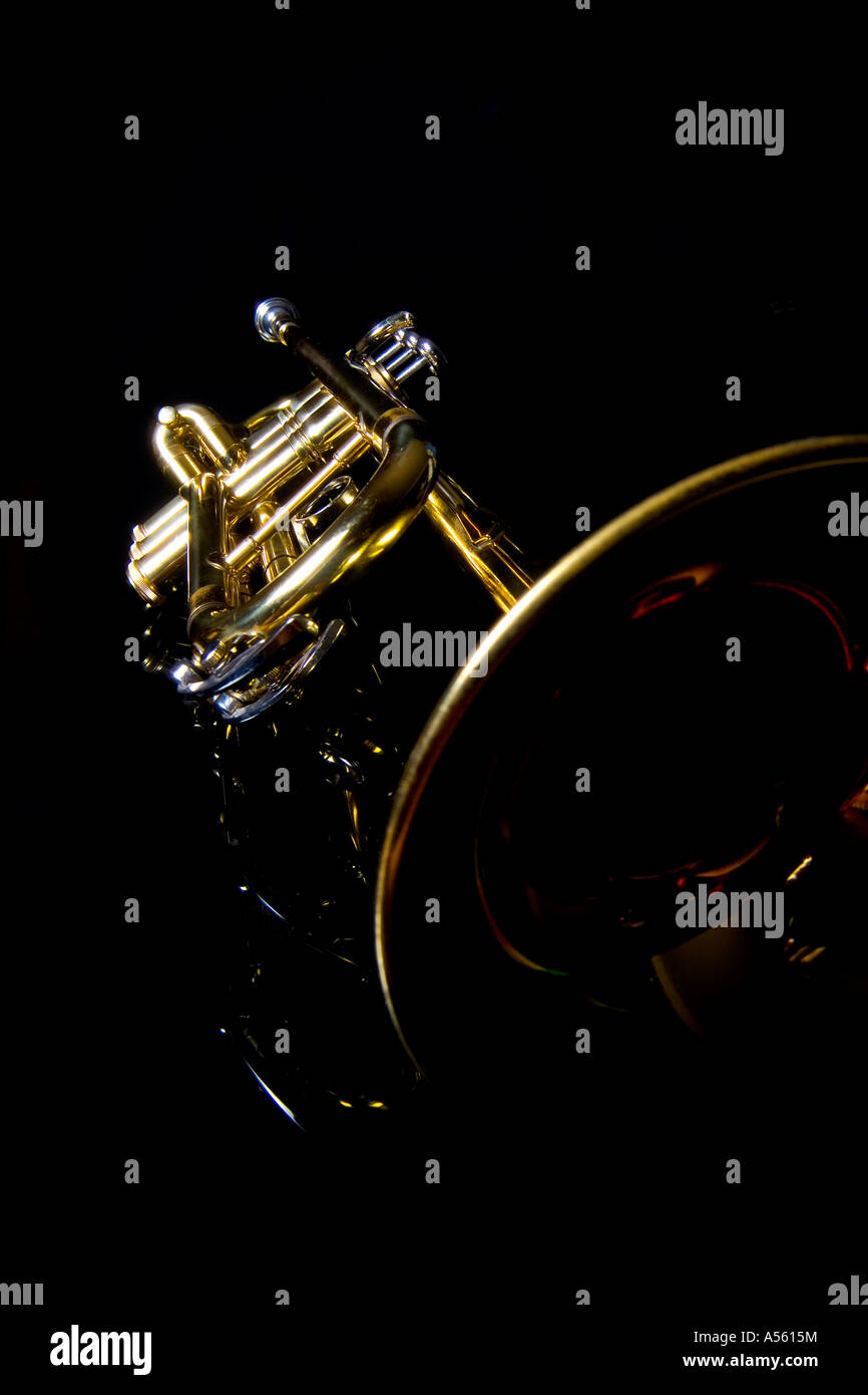 Trumpet(s) on black reflective background Stock Photo