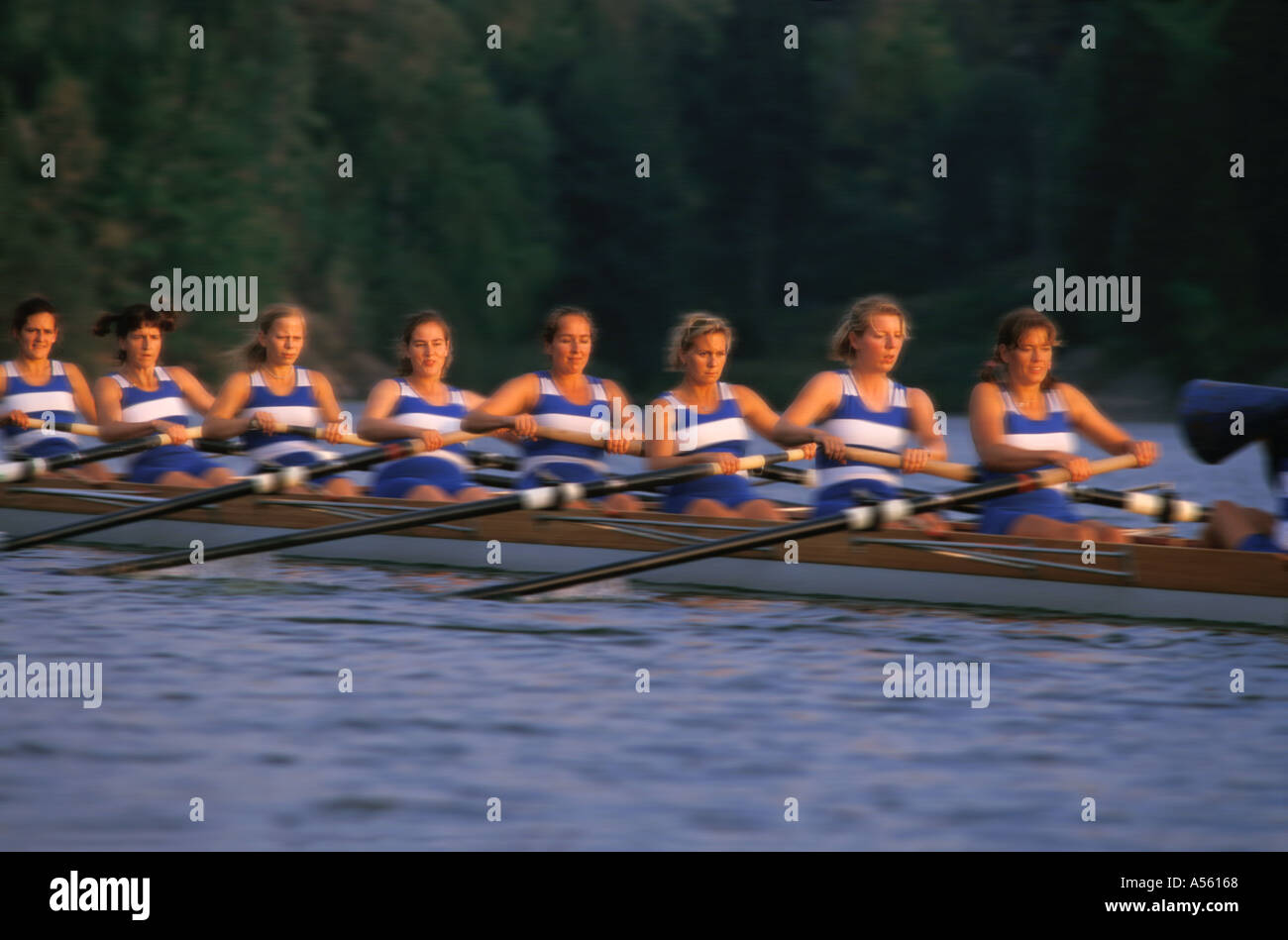 Teamwork Female Rowing teamwork cooperation stockholms rowing club women team model released ...