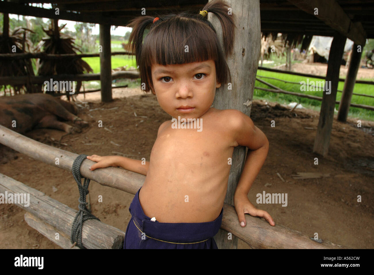 Cambodia gracel Painet ix1993 cambodia girl child kampong thom country developing nation  less economically developed culture emerging market Stock Photo - Alamy