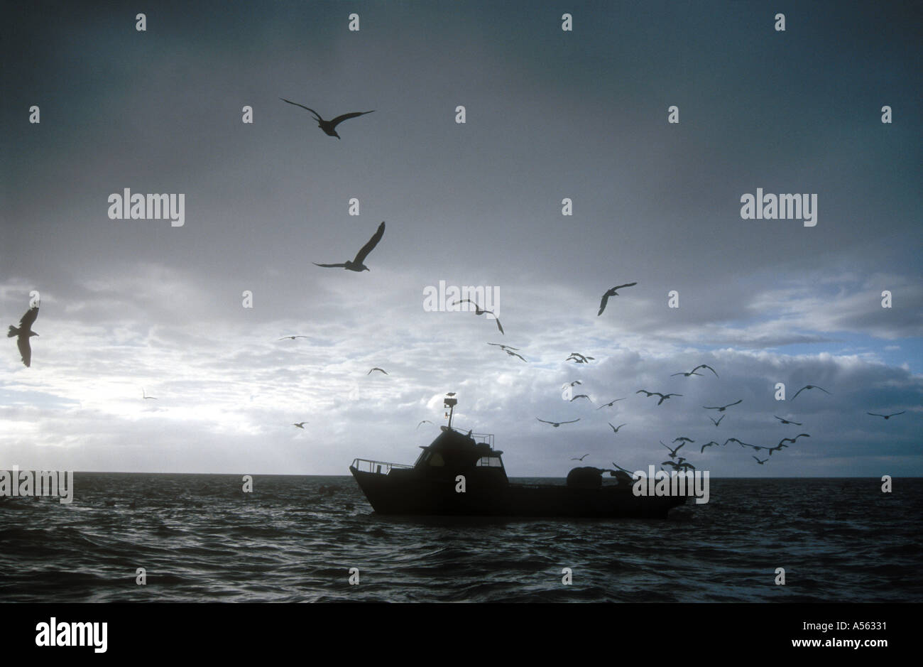 A motor fishing vessel off Kaikoura Marlborough South Island New Zealand Stock Photo