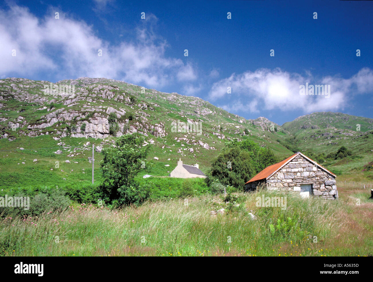Scottish hillside and cottage Stock Photo Alamy