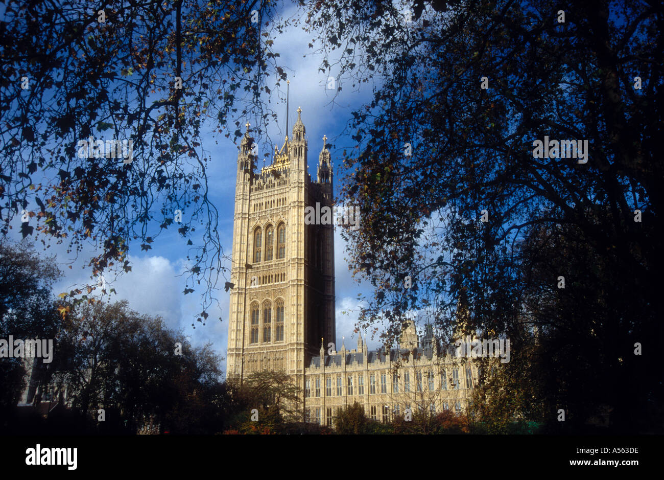 The Houses of Parliament with Victoria Tower seen from Victoria Gardens London SW1 England UK Europe Stock Photo