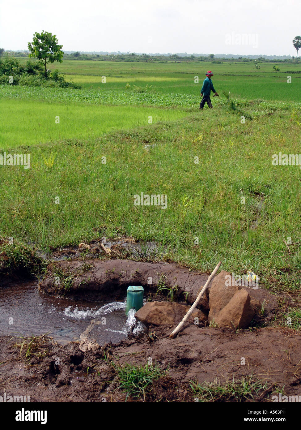 Page 10 - Irrigation Agronomy High Resolution Stock Photography and Images  - Alamy