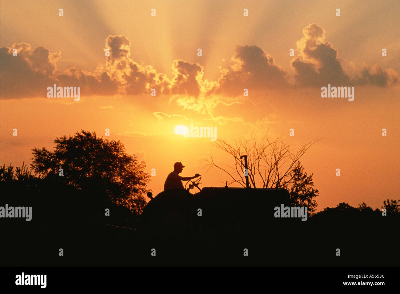 Farmer silhouetted by early morning sun Stock Photo