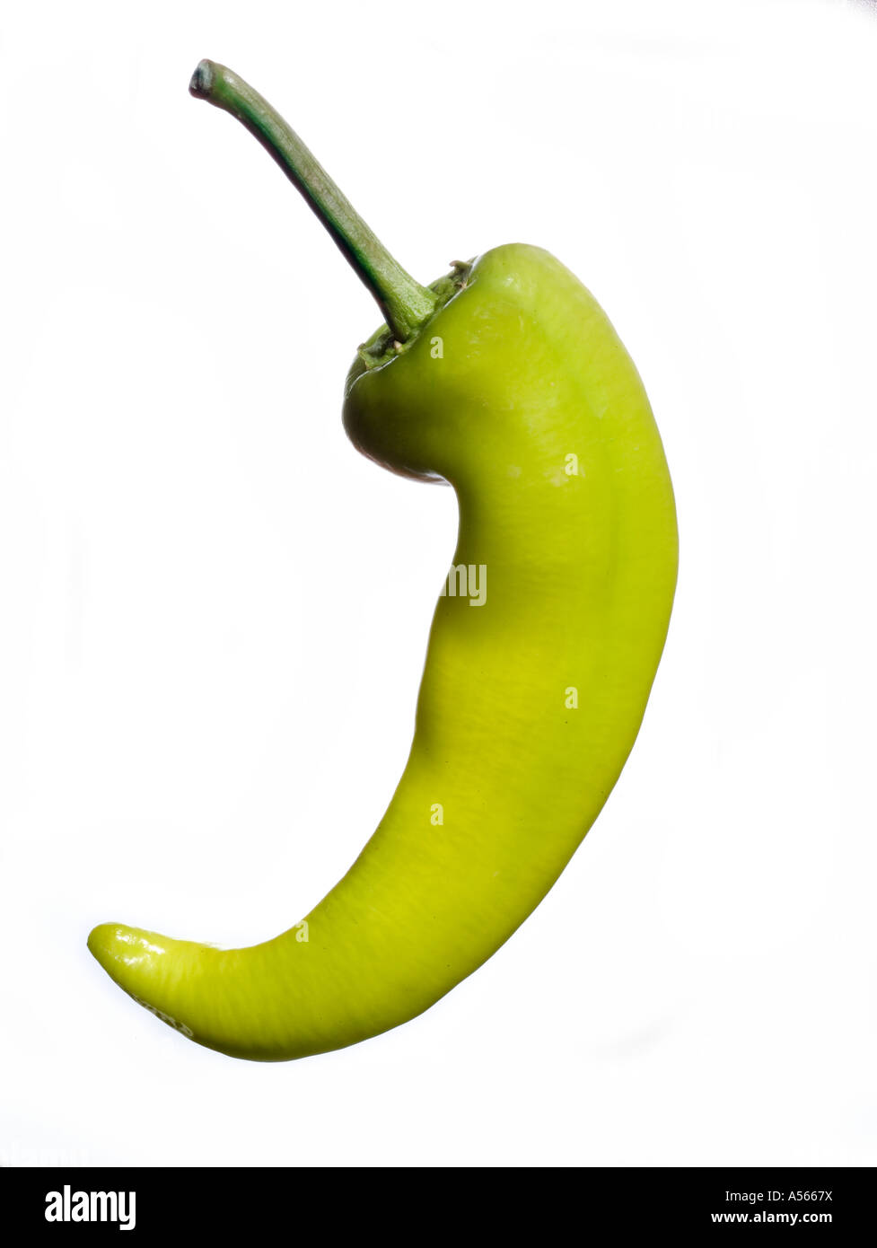 hungarian wax pepper on a white background Stock Photo