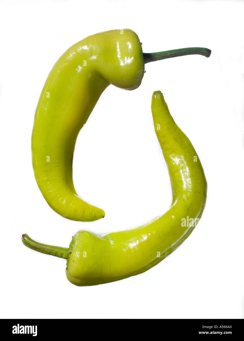 hungarian wax peppers chilli chile hot spicy white background Stock Photo