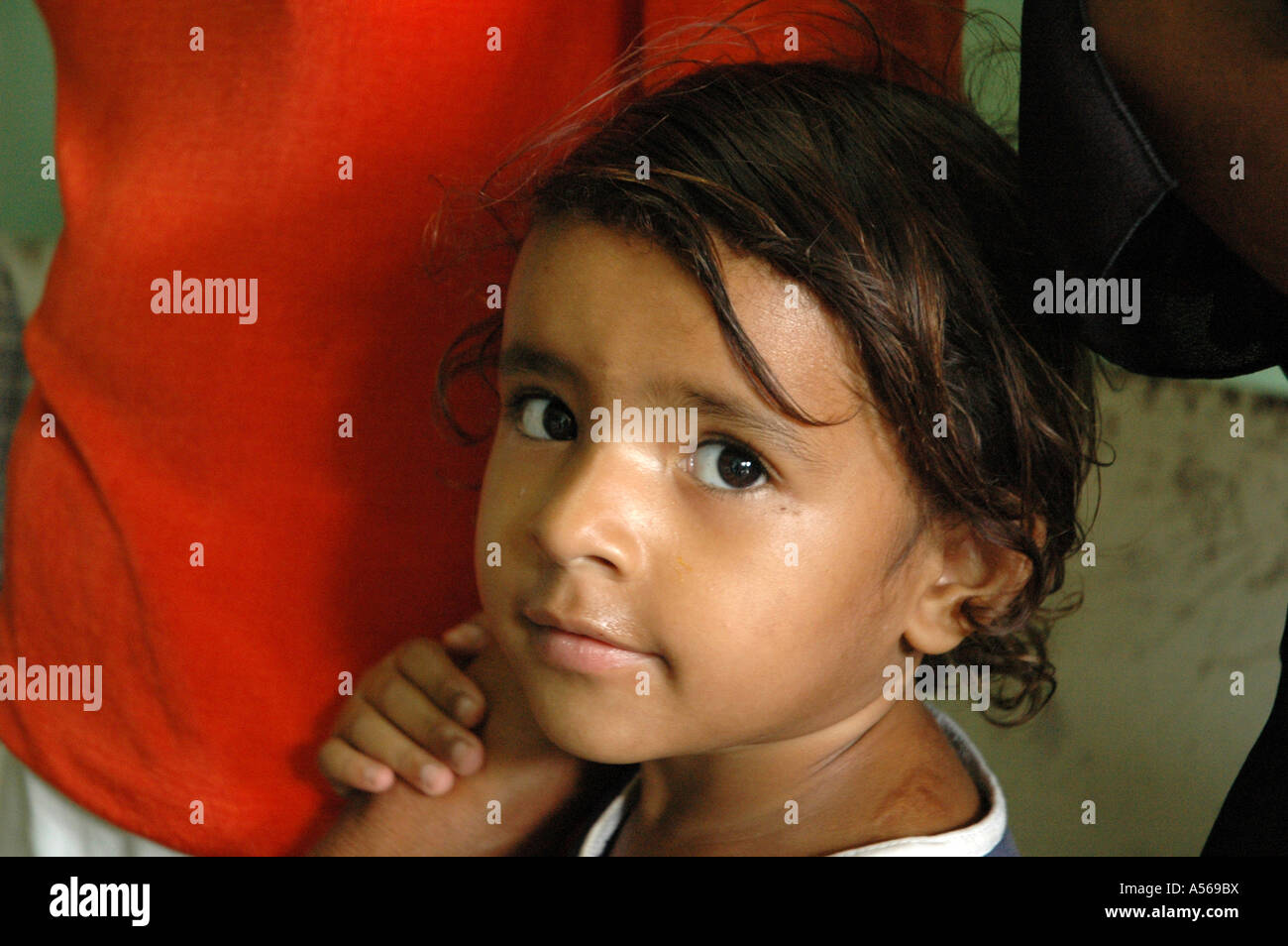 Painet iy8063 child kid brazil girl tinbo quilombo pernambuco quilombos first settled descendants african slaves escaped 300 Stock Photo