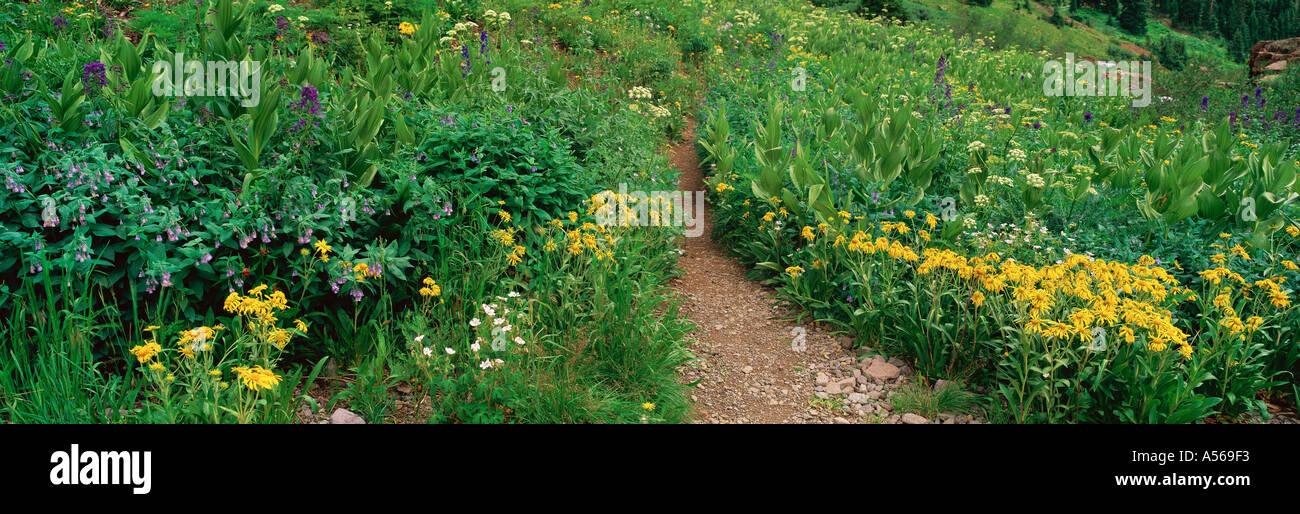 Yankee Boy Basin Stock Photo Alamy