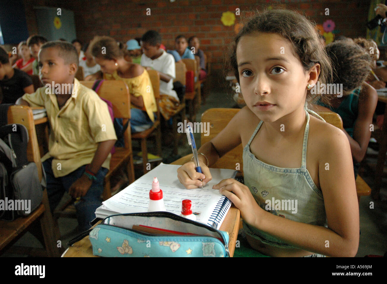 Raiva no brasil ilysam. Школы в Бразилии. Школьники Бразилии. Начальная школа в Бразилии. Образование в Бразилии.