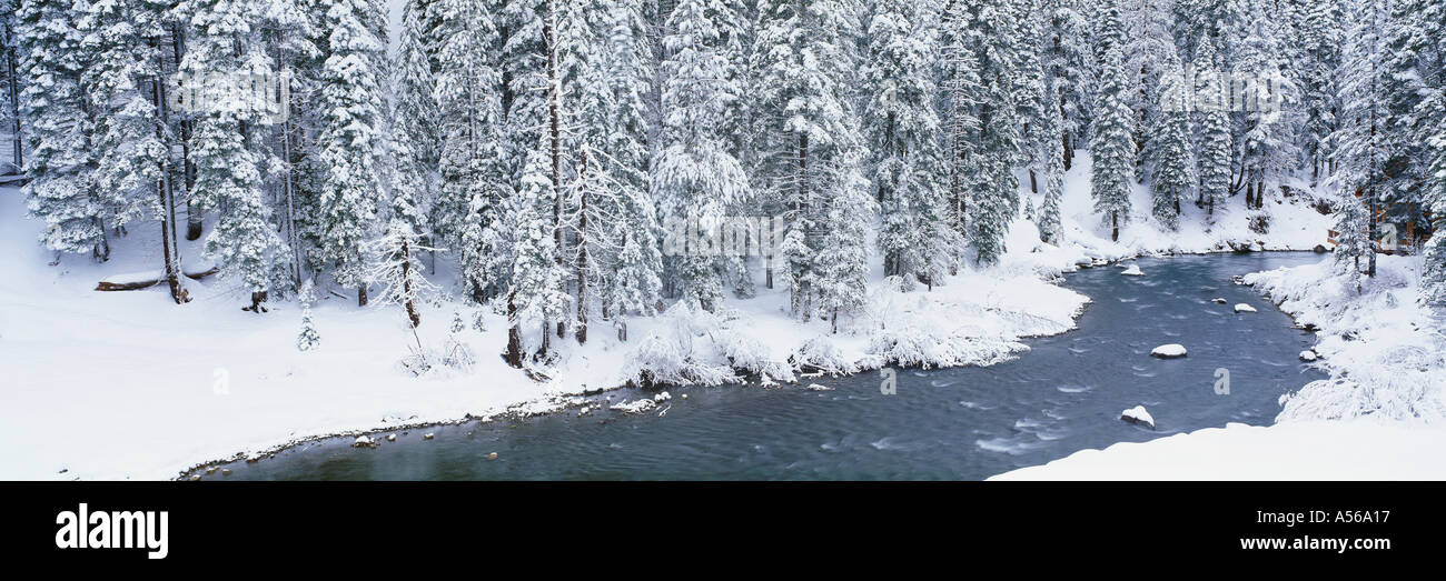 Stream in winter Stock Photo
