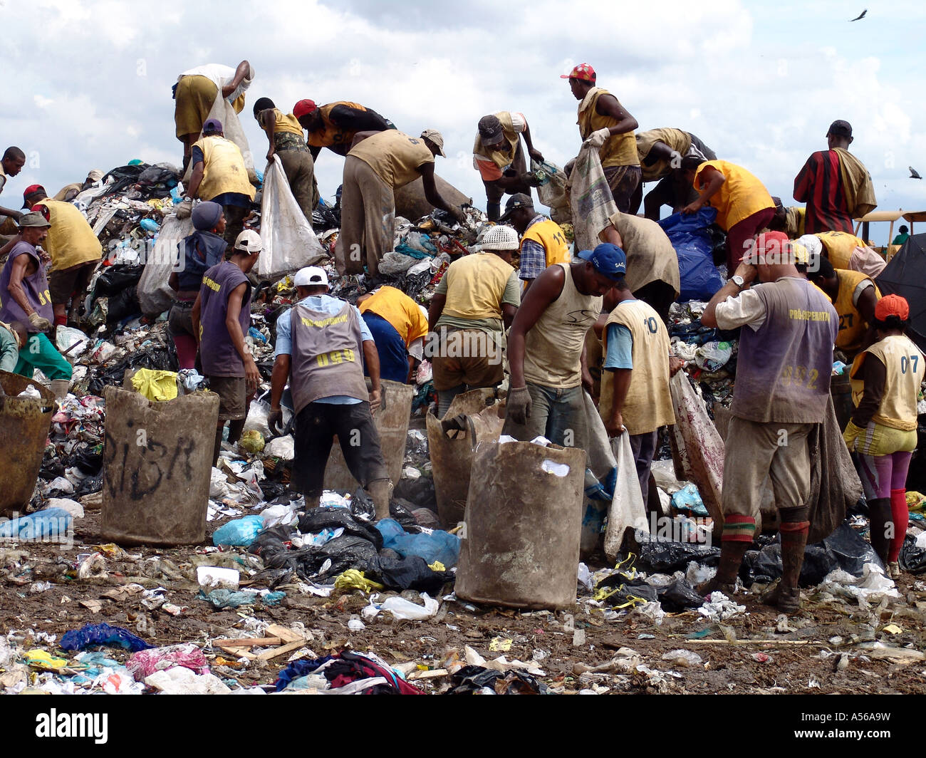 iy8192 brazil registered scavengers picking out recyclable