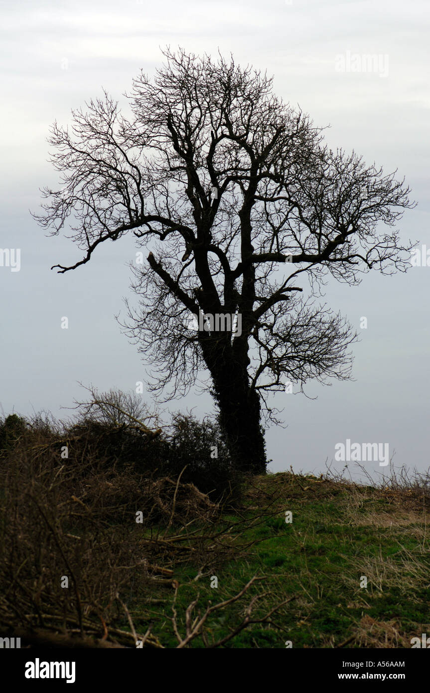 Elsfield oxfordshire hires stock photography and images Alamy