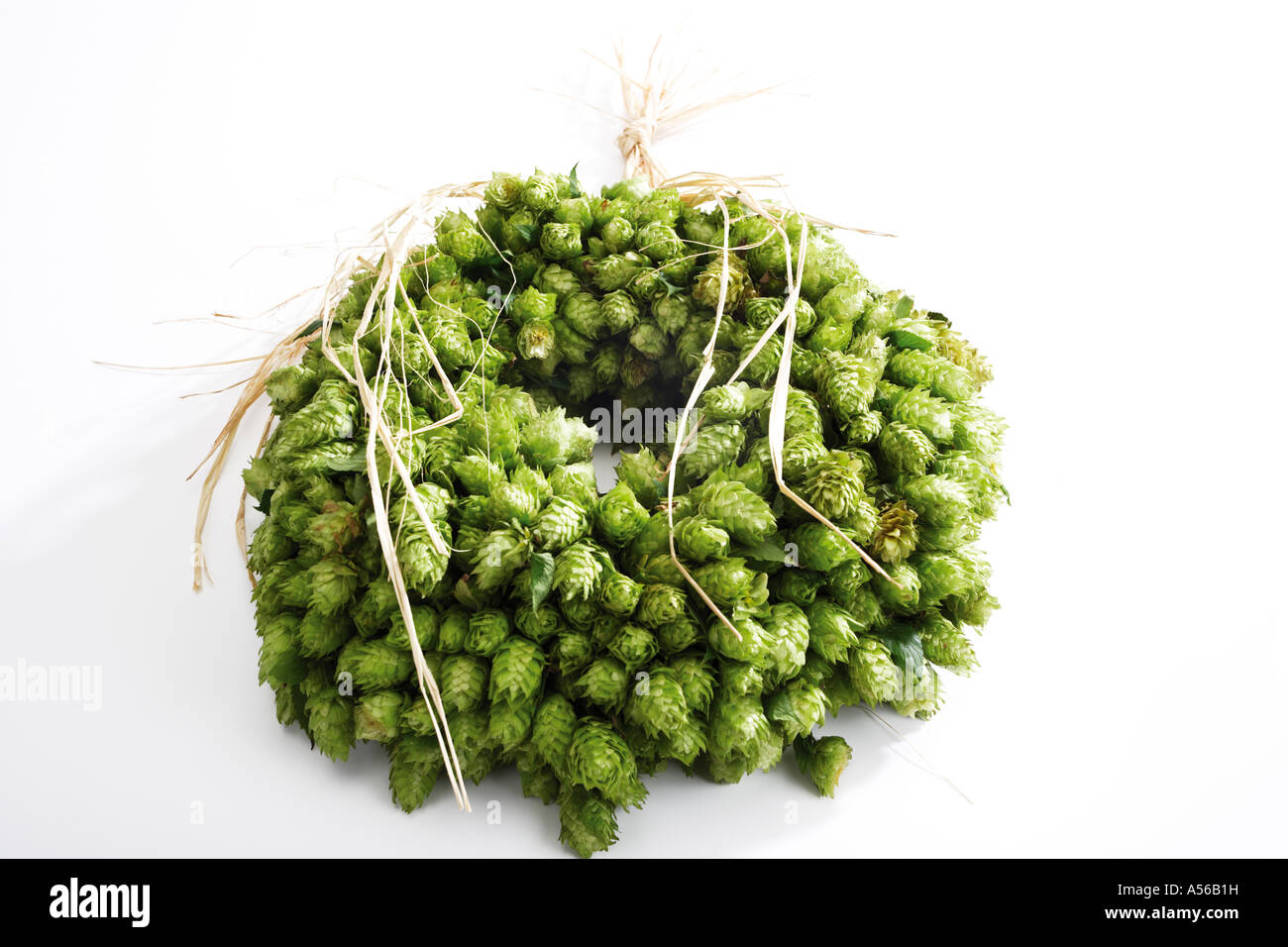Wreath of hop Stock Photo - Alamy