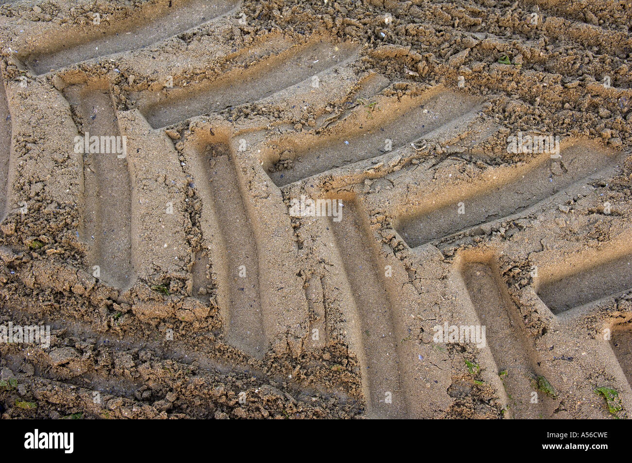 Tractor tire marks in the sand Stock Photo Alamy