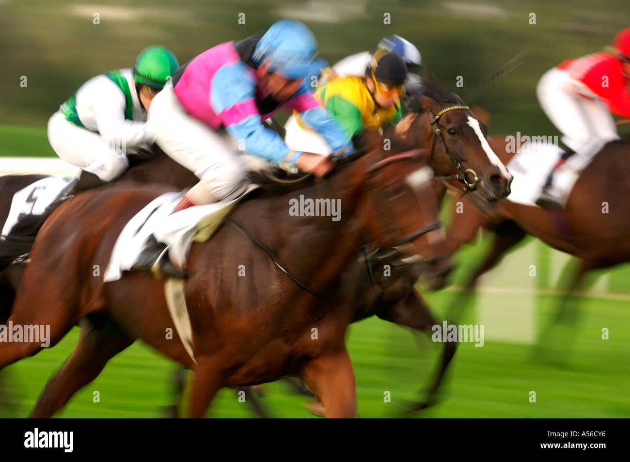 Horse race, racehorses in motion, detail Stock Photo