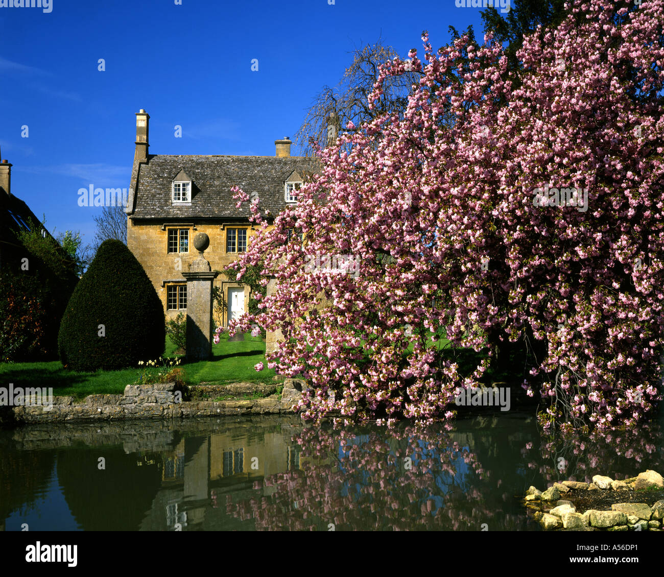 GB - GLOUCESTERSHIRE:  Cottage in the Cotswold village of Willersey Stock Photo