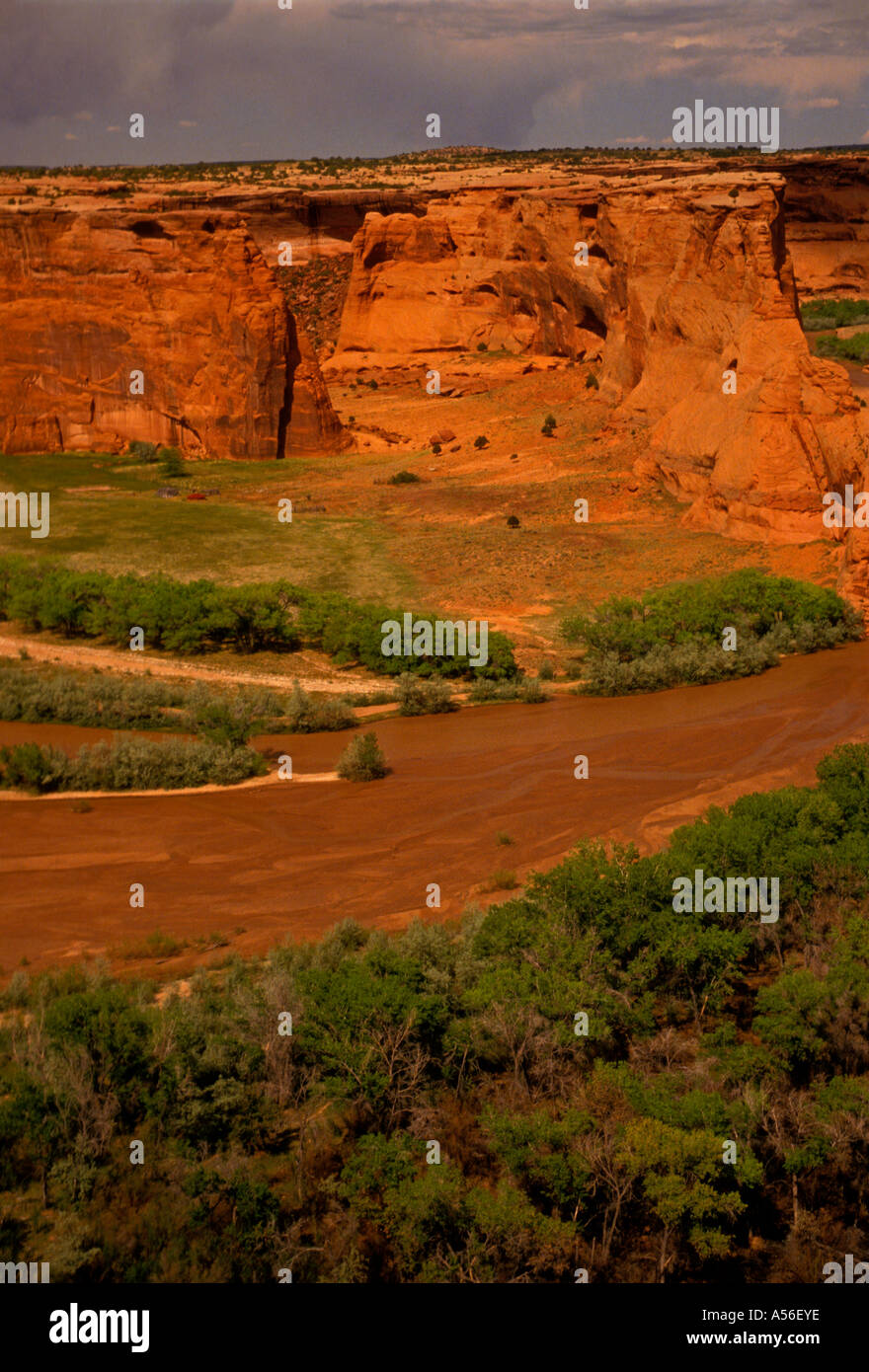 view from Tsegi Overlook, Tsegi Overlook, Canyon de Chelley National