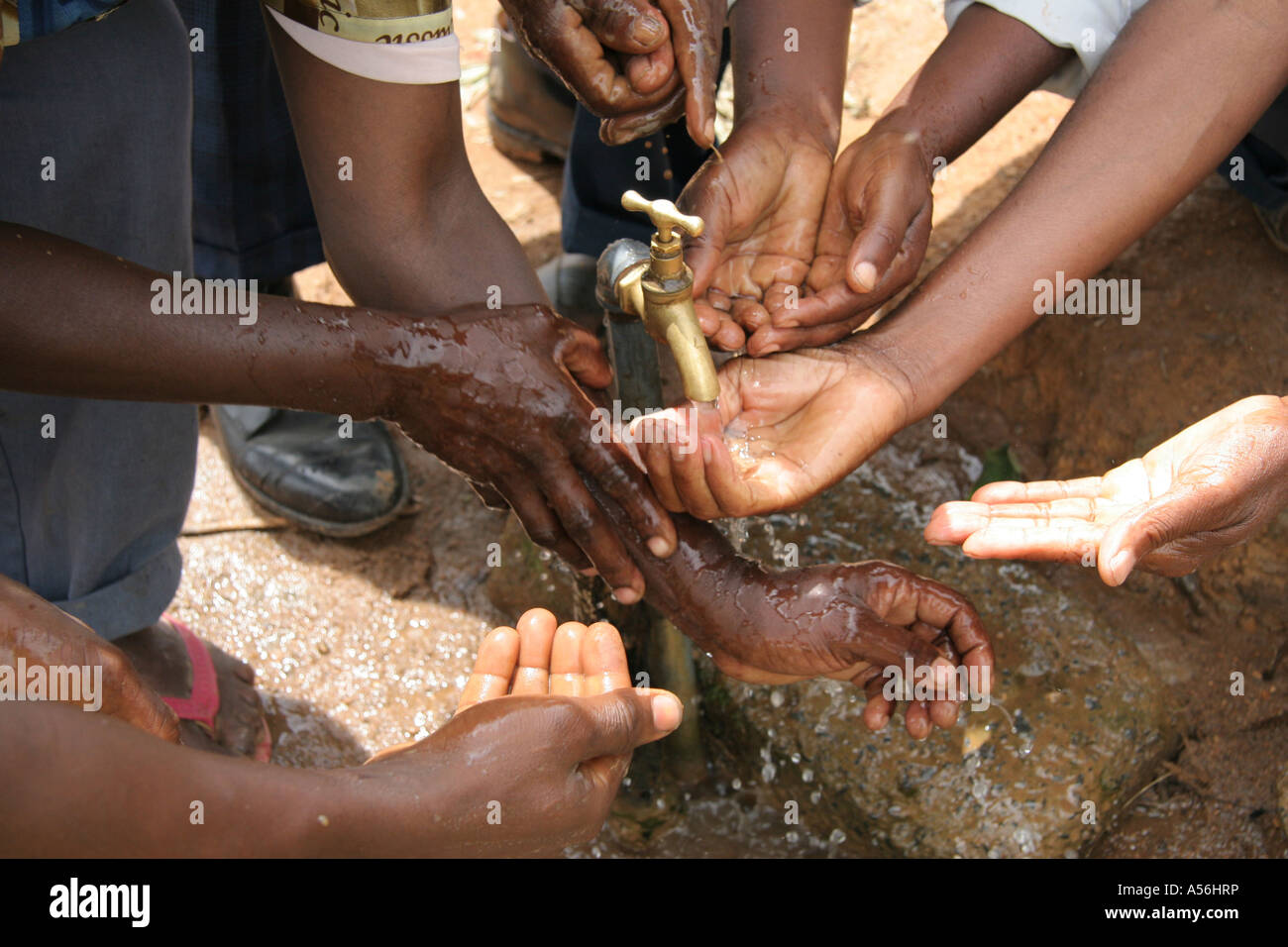 Painet iy8605 tanzania villagers washing hands installing water system village this project caritas financed australia will Stock Photo
