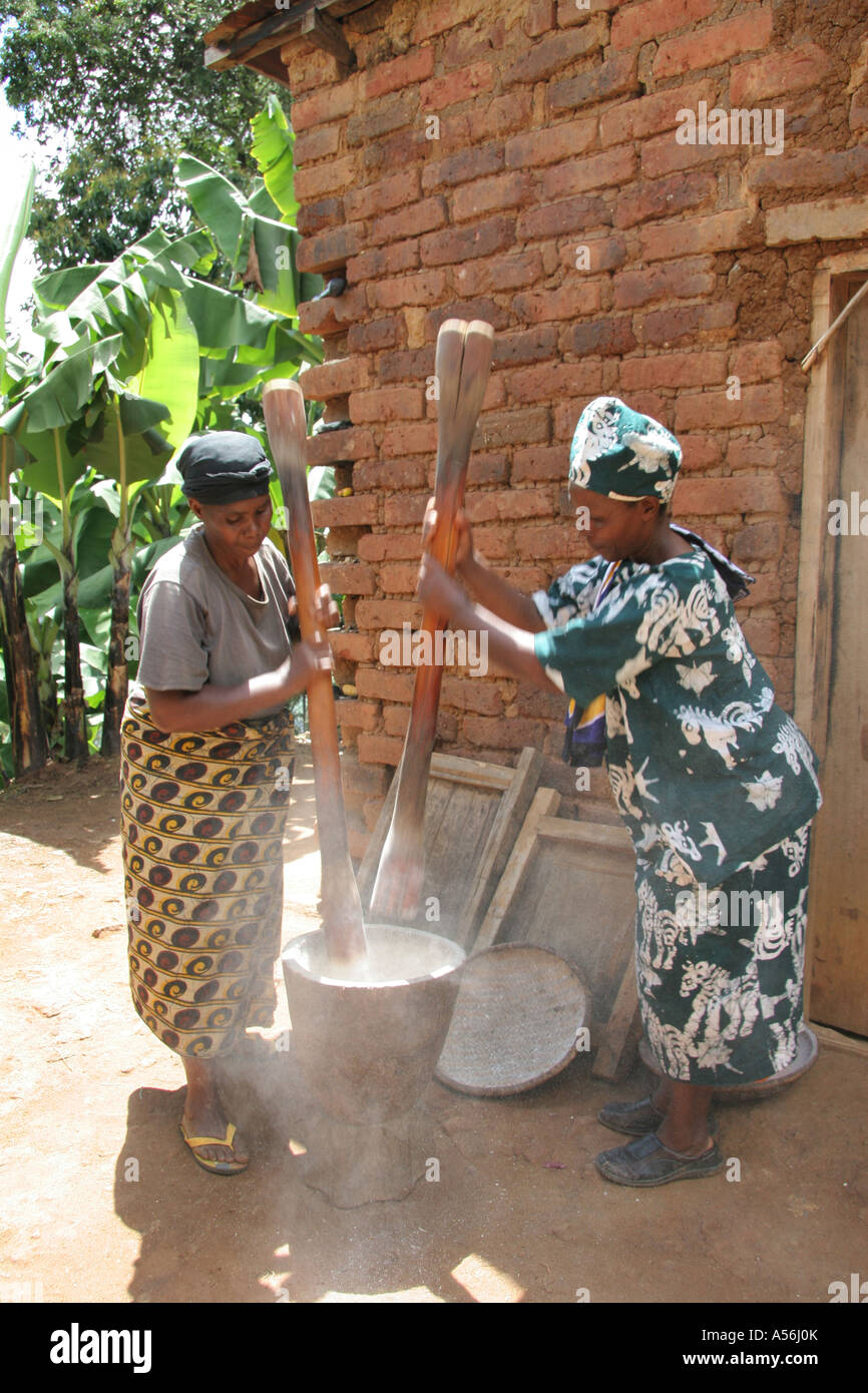 Painet iy8612 tanzania women females pounding cassava dried banana wooden mortar pestle traditional way kighare same Stock Photo