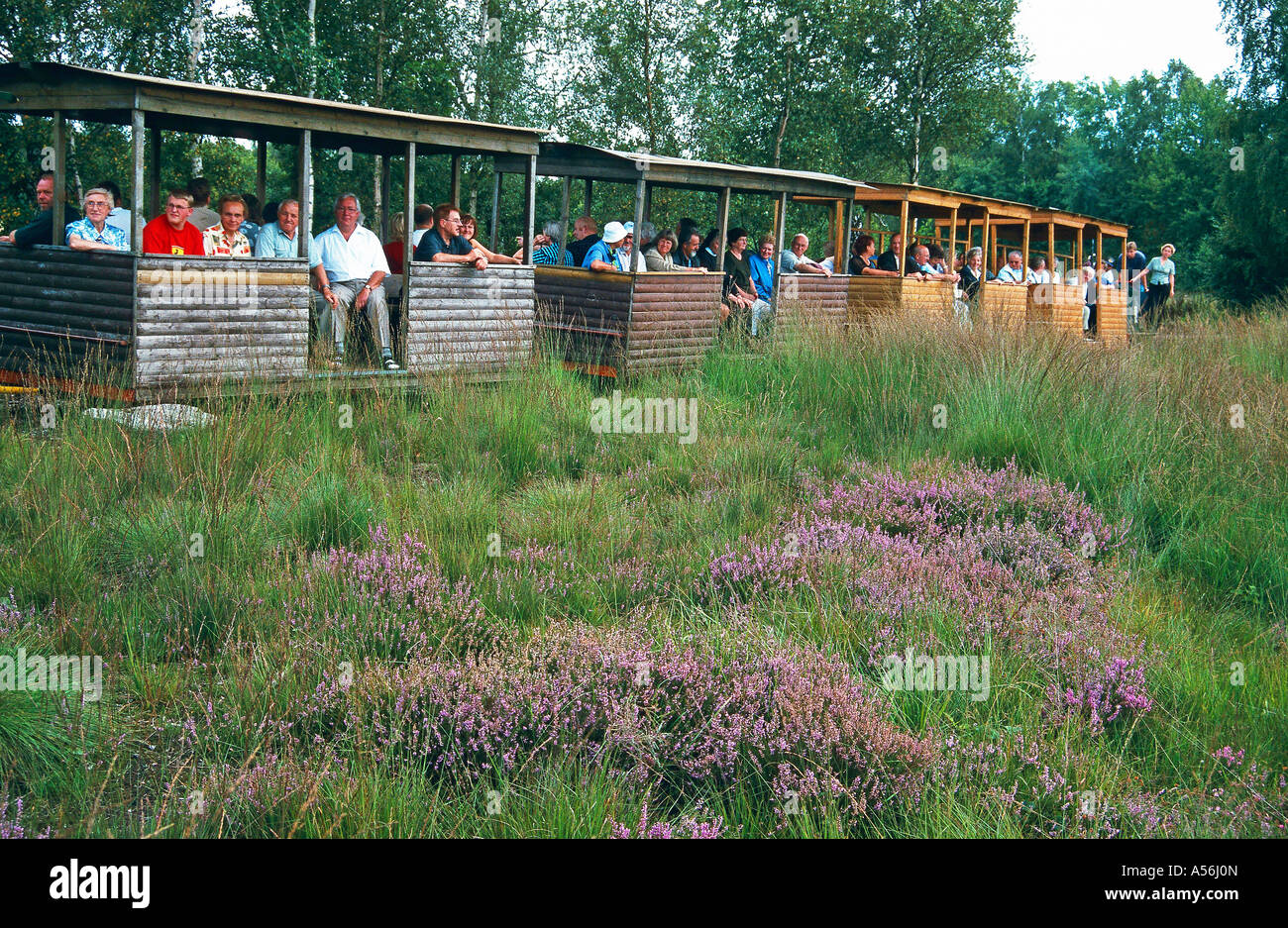 Moorbahnfahrt beim Naturschutz und Informationszentrum Haus im Moor Heidebluete Goldenstedt Niedersachsen Deutschland Stock Photo