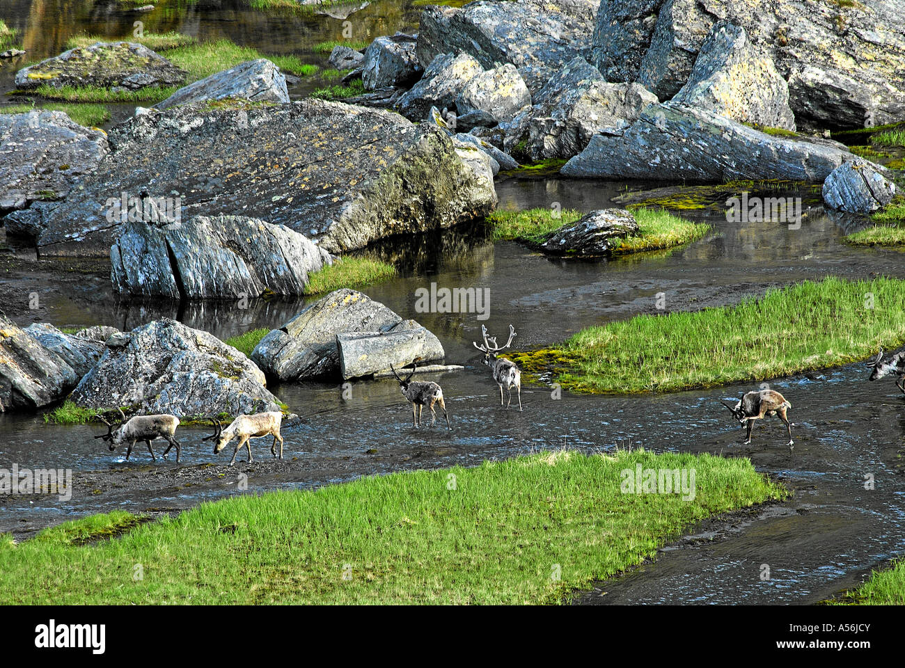 See Trollsjoen im Tal Gearggevaeggi Abisko Fjaell Norrbotten Schwedisch Lappland Schweden 2006 Sommer Nordschweden Stock Photo