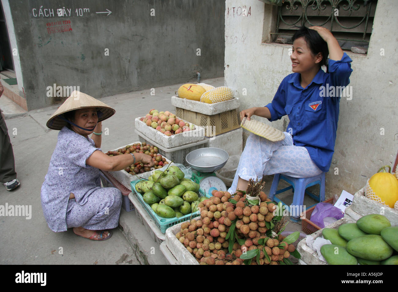 iy8663 vietnam woman selling lychees mangoes bananas hanoi photo 2005 Stock Photo