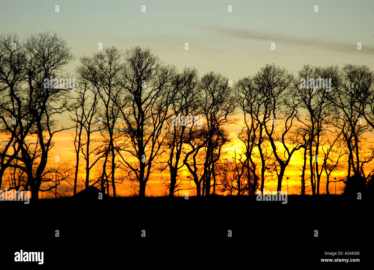 Silhouettes against sky sunset hi-res stock photography and images - Alamy