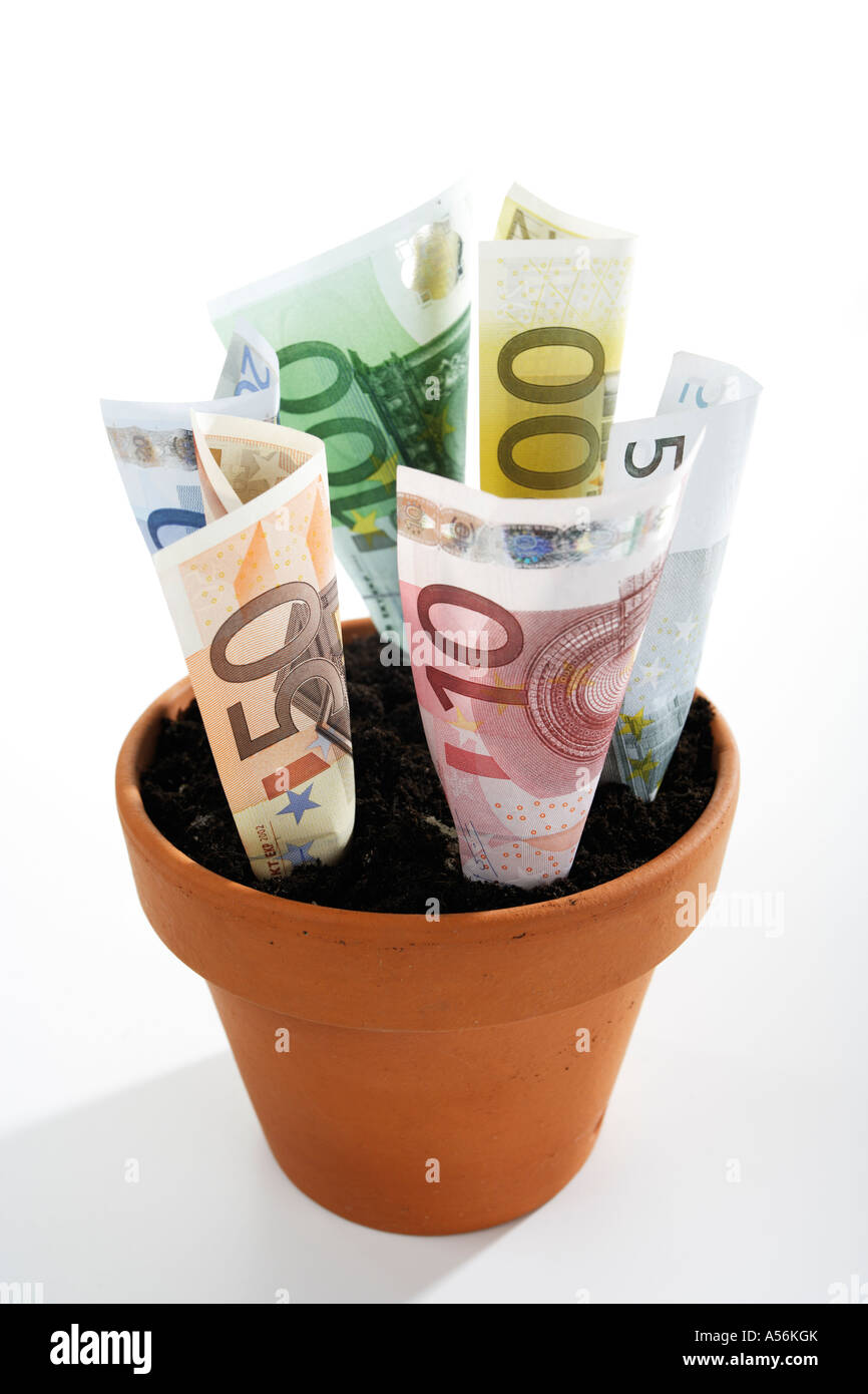 Euro notes growing in plant pot Stock Photo