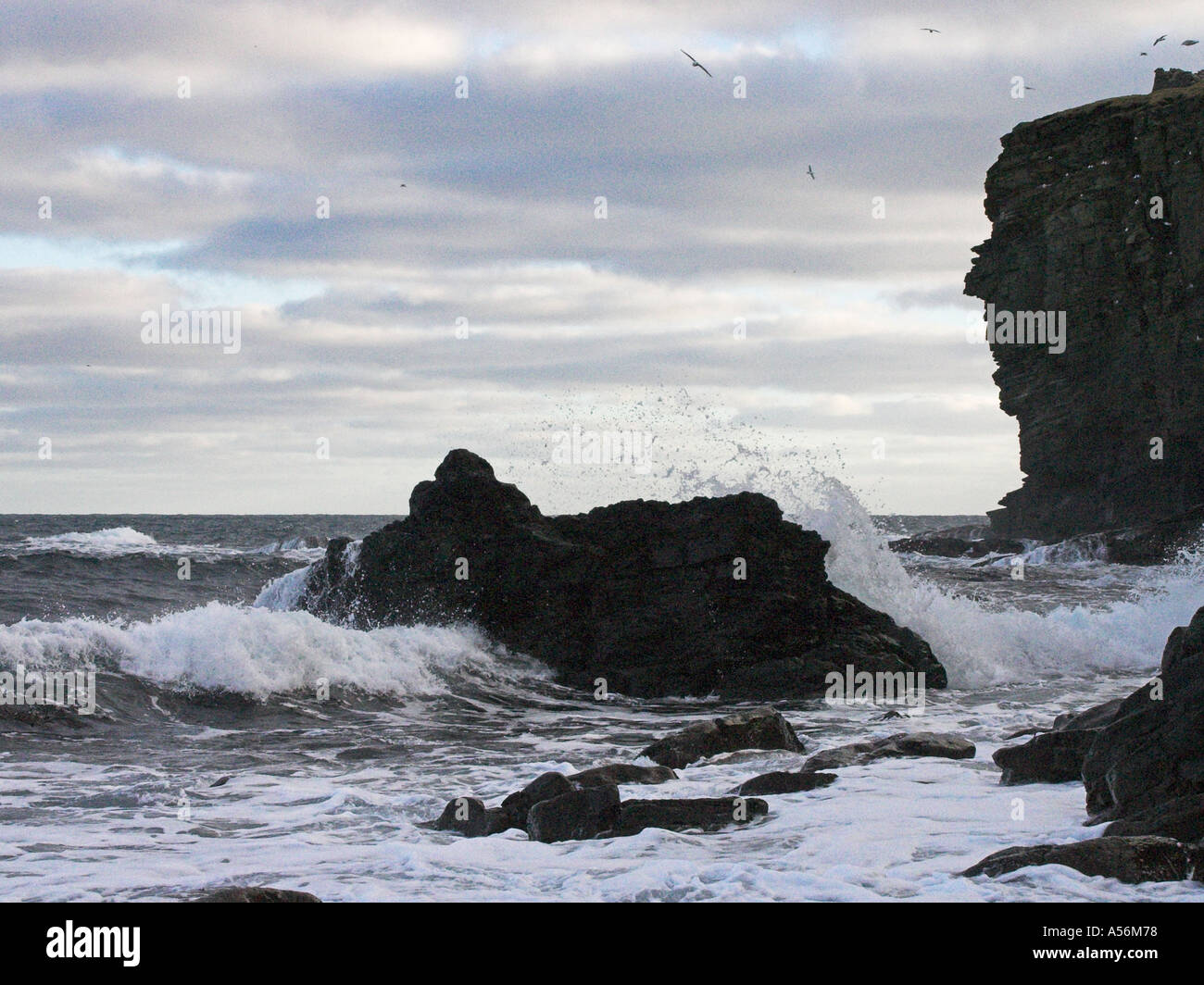 Grutness hi-res stock photography and images - Alamy