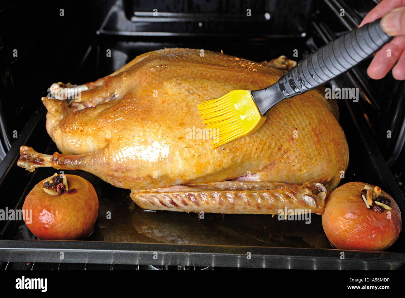 Hand coating goose with meat juice Stock Photo Alamy