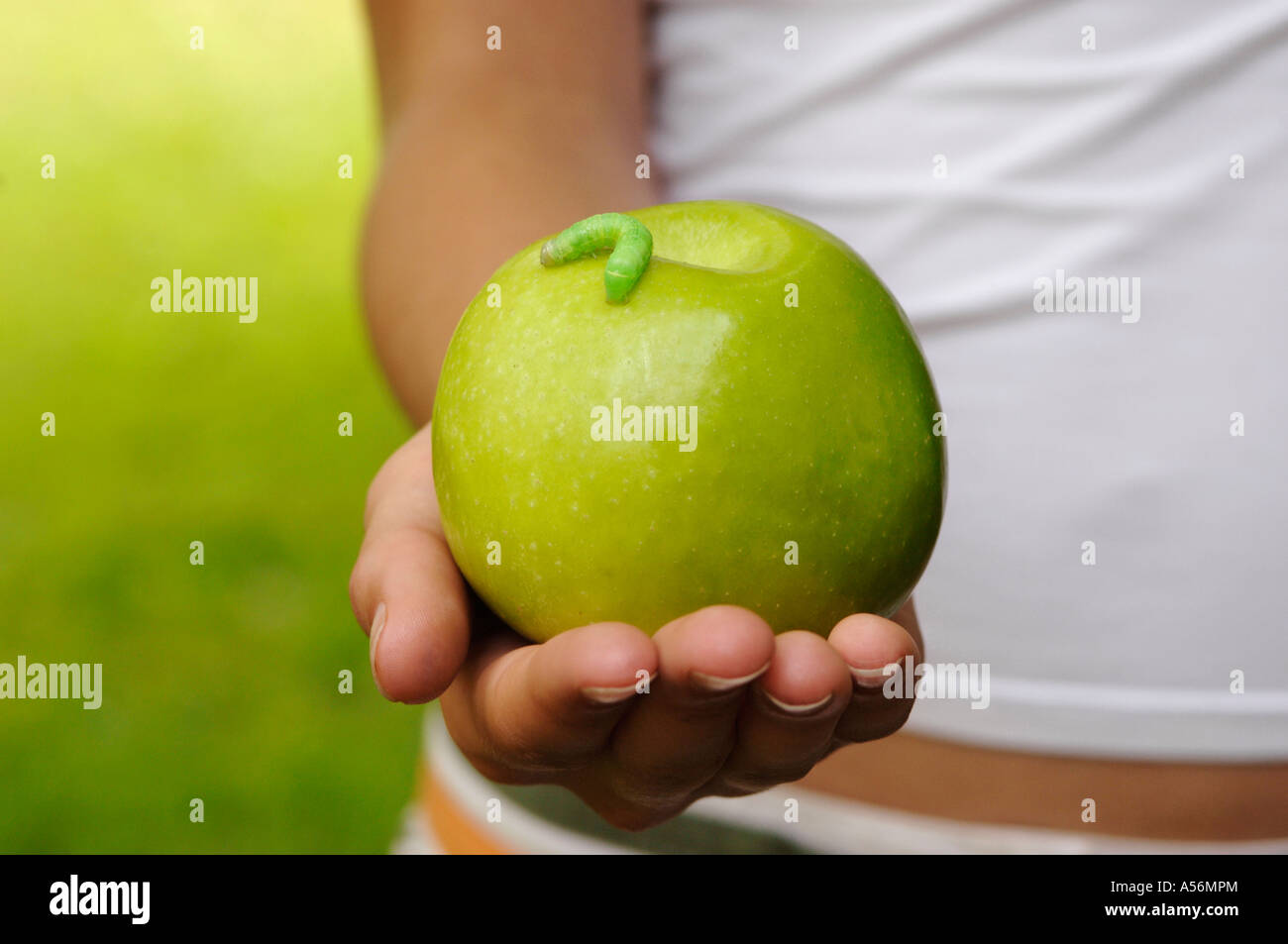 сонник есть яблоко.